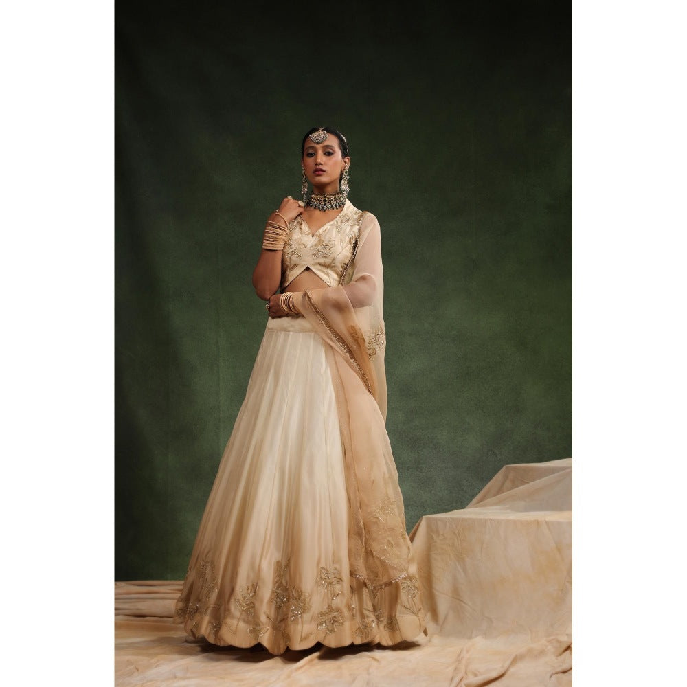 CHARU MAKKAR Beige Lehenga with Blouse and Dupatta (Set of 3)