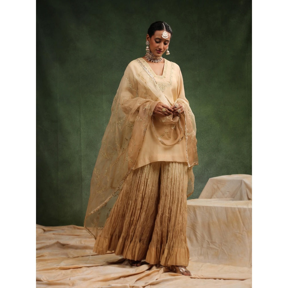 CHARU MAKKAR Nude Sharara with Kurta and Dupatta (Set of 3)