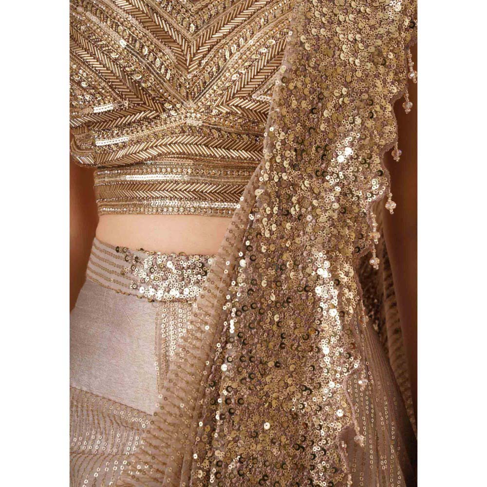 CHAASHNI BY MAANSI & KETAN Embellished Gold Pre-Drape Saree with Stitched Blouse