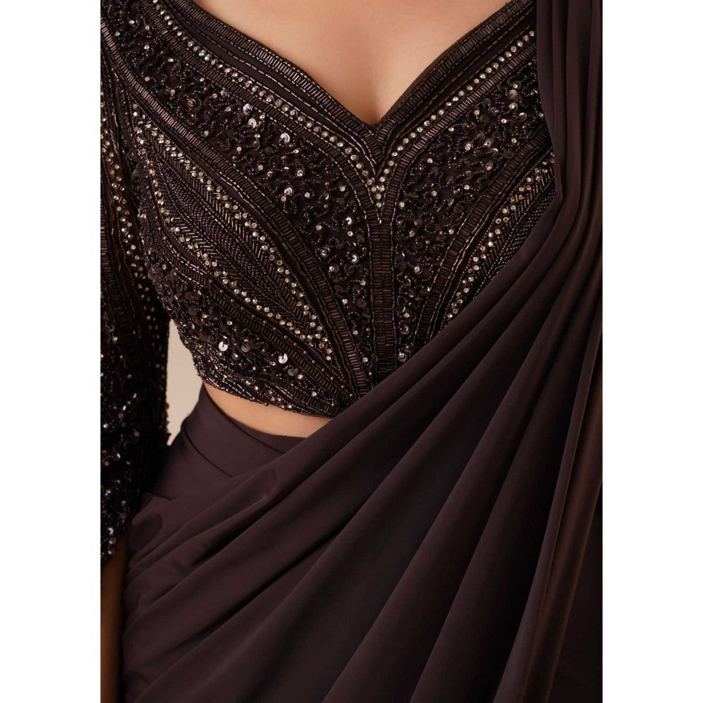 CHAASHNI BY MAANSI & KETAN Hazel Embellished Pre-Drape Saree with Stitched Blouse