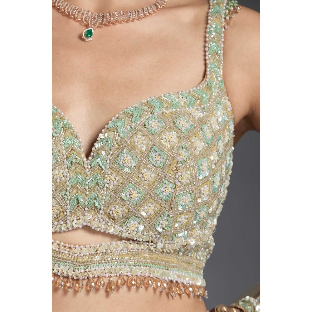 CHAASHNI BY MAANSI & KETAN Multi-Colour Embellished Lehenga with Choli and Dupatta (Set of 3)