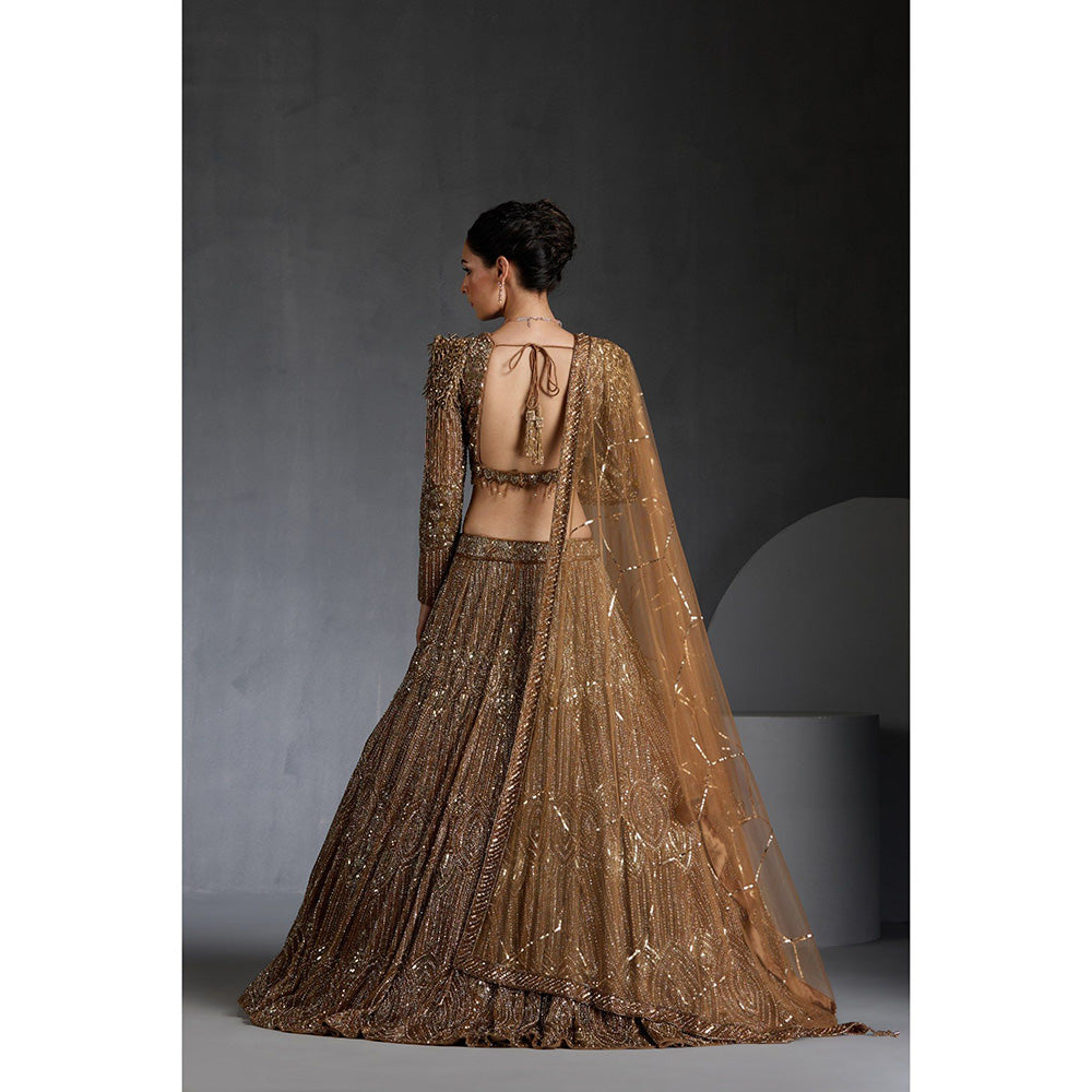CHAASHNI BY MAANSI & KETAN Gold Embellished Net Lehenga with Choli and Dupatta (Set of 3)