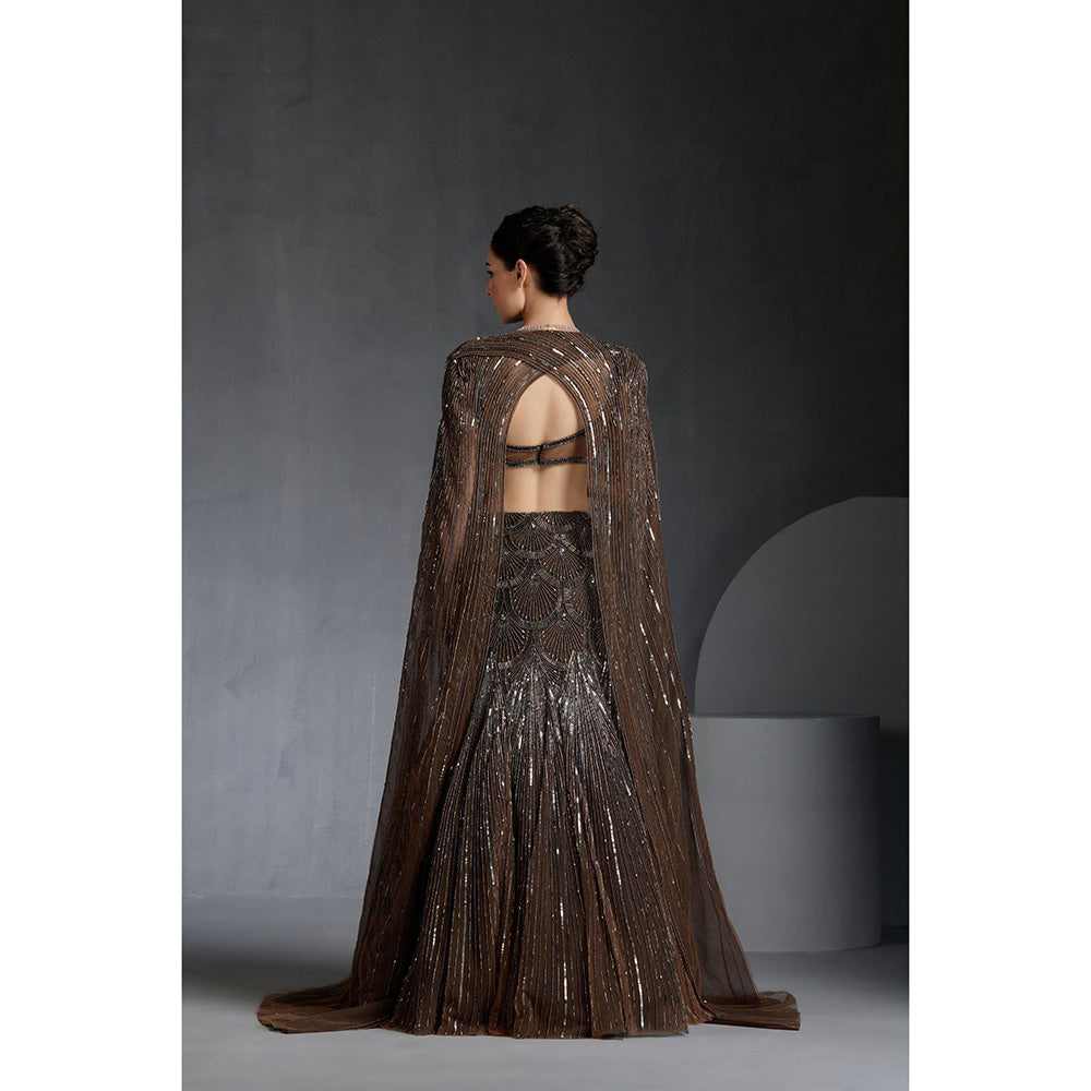 CHAASHNI BY MAANSI & KETAN Brown Embellished Net Lehenga with Choli and Dupatta (Set of 3)