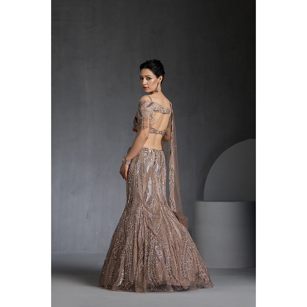 CHAASHNI BY MAANSI & KETAN Nude Embellished Net Lehenga with Choli and Dupatta (Set of 3)