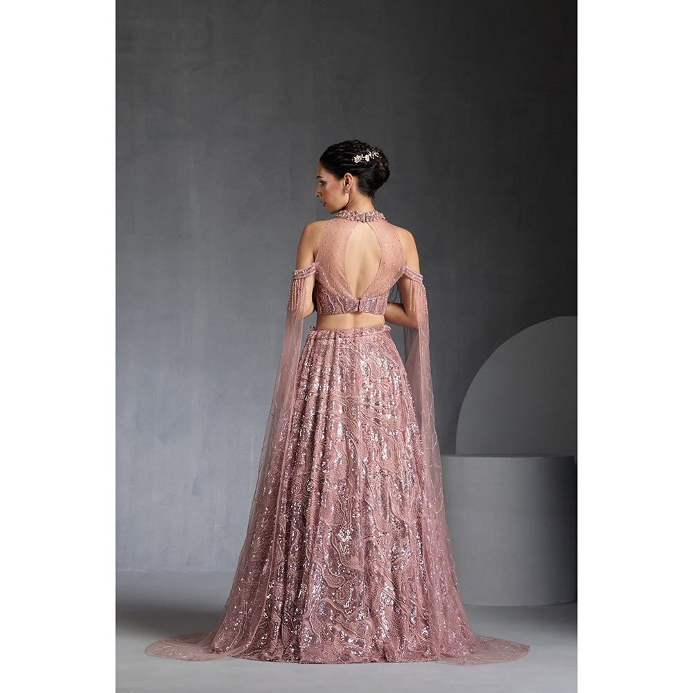 CHAASHNI BY MAANSI & KETAN Pink Embellished Net Lehenga with Choli and Dupatta (Set of 2)