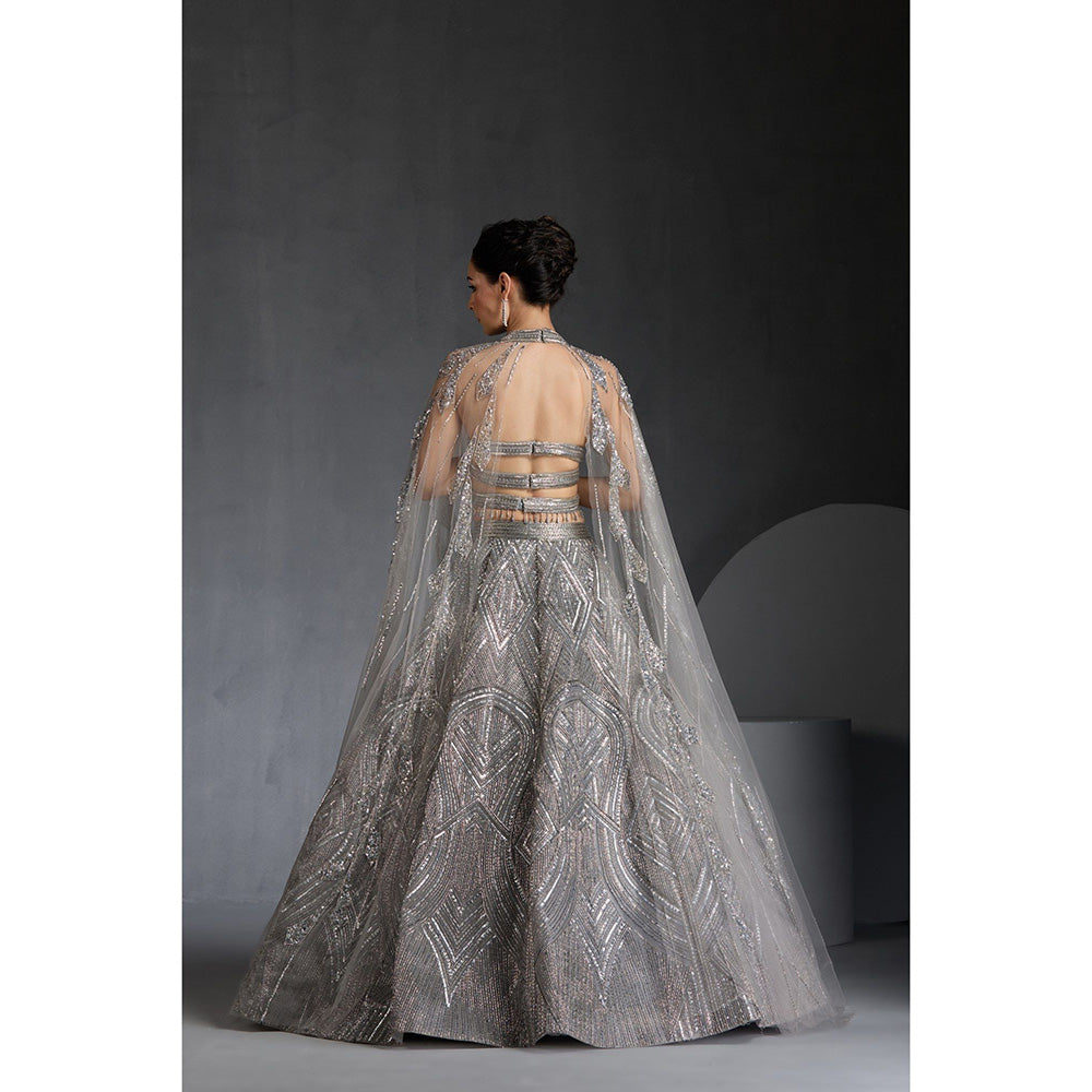 CHAASHNI BY MAANSI & KETAN Grey Embellished Net Lehenga with Choli and Dupatta (Set of 2)