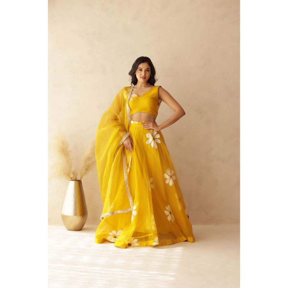 DEASHA INDIA Hiral Yellow Hand Painted Lehenga with Blouse and Dupatta (Set of 3)