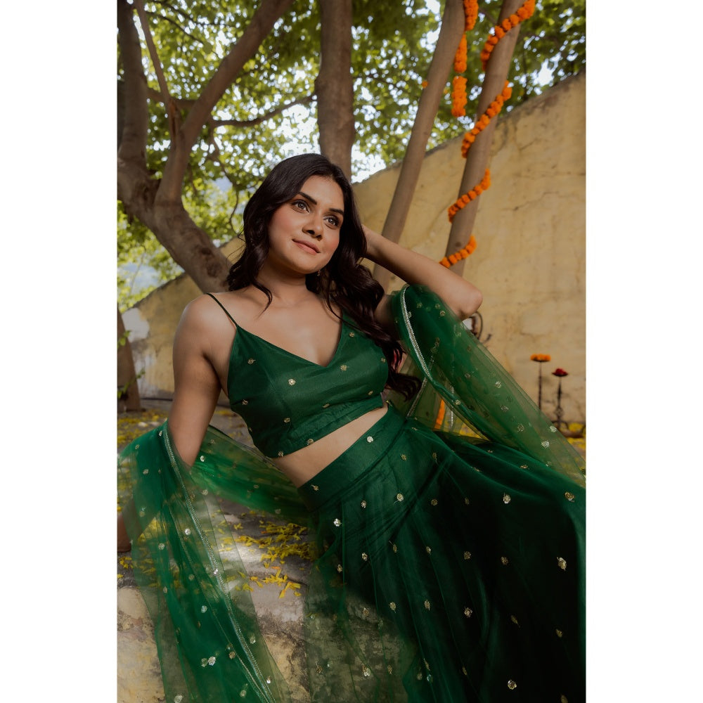 DEASHA INDIA Heena Green Net Embroidered Lehenga with Blouse and Dupatta (Set of 3)