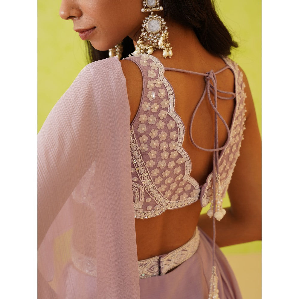 Deepika Chadha Mauve Pre-Draped Embellished Saree with Stitched Blouse
