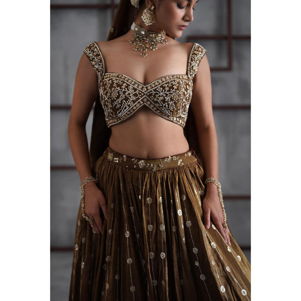 Deepika Chadha Brown Embroidered Blouse with Lehenga and Dupatta (Set of 3)