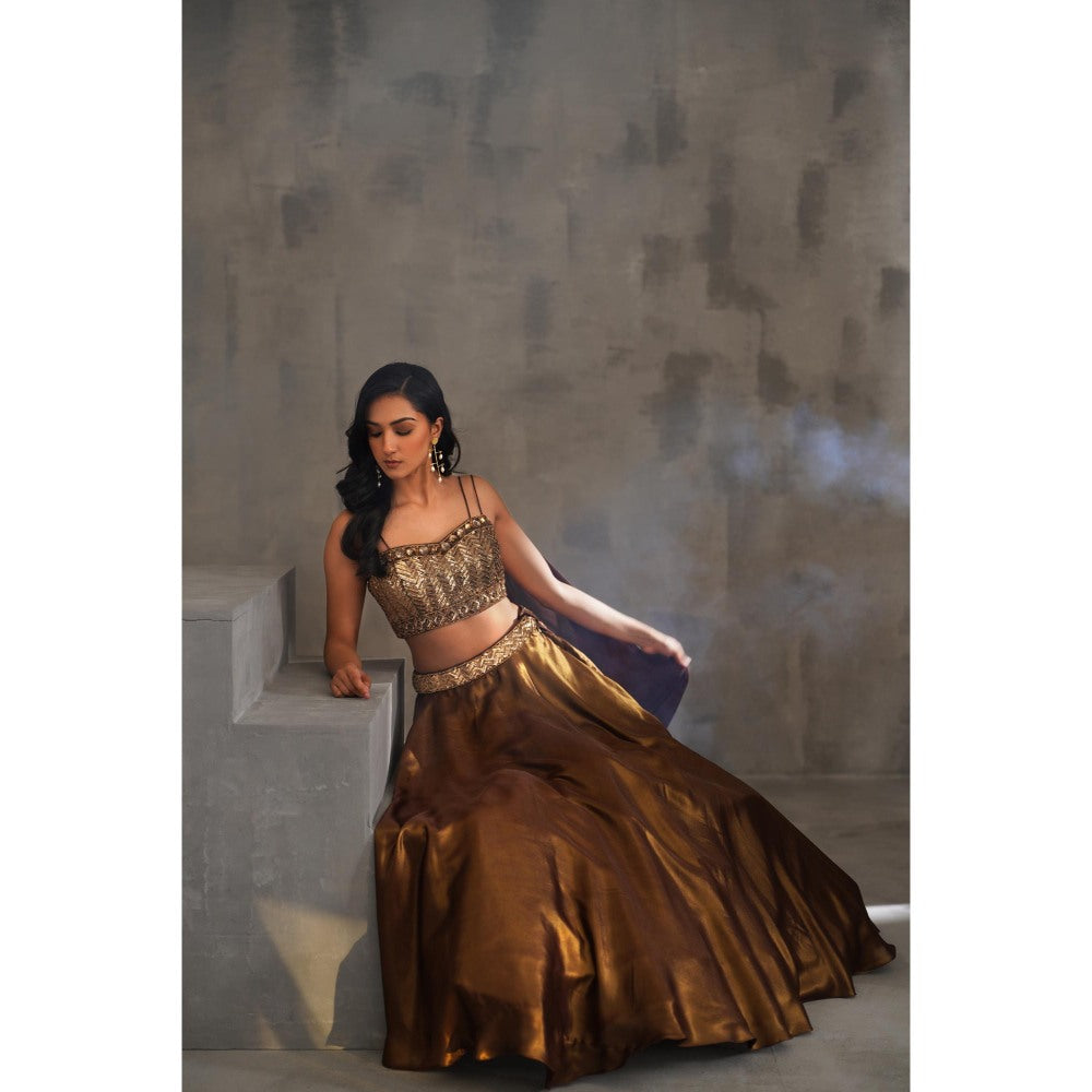 Deepika Chadha Brown Embroidered Drape Attached Blouse and Lehenga (Set of 2)