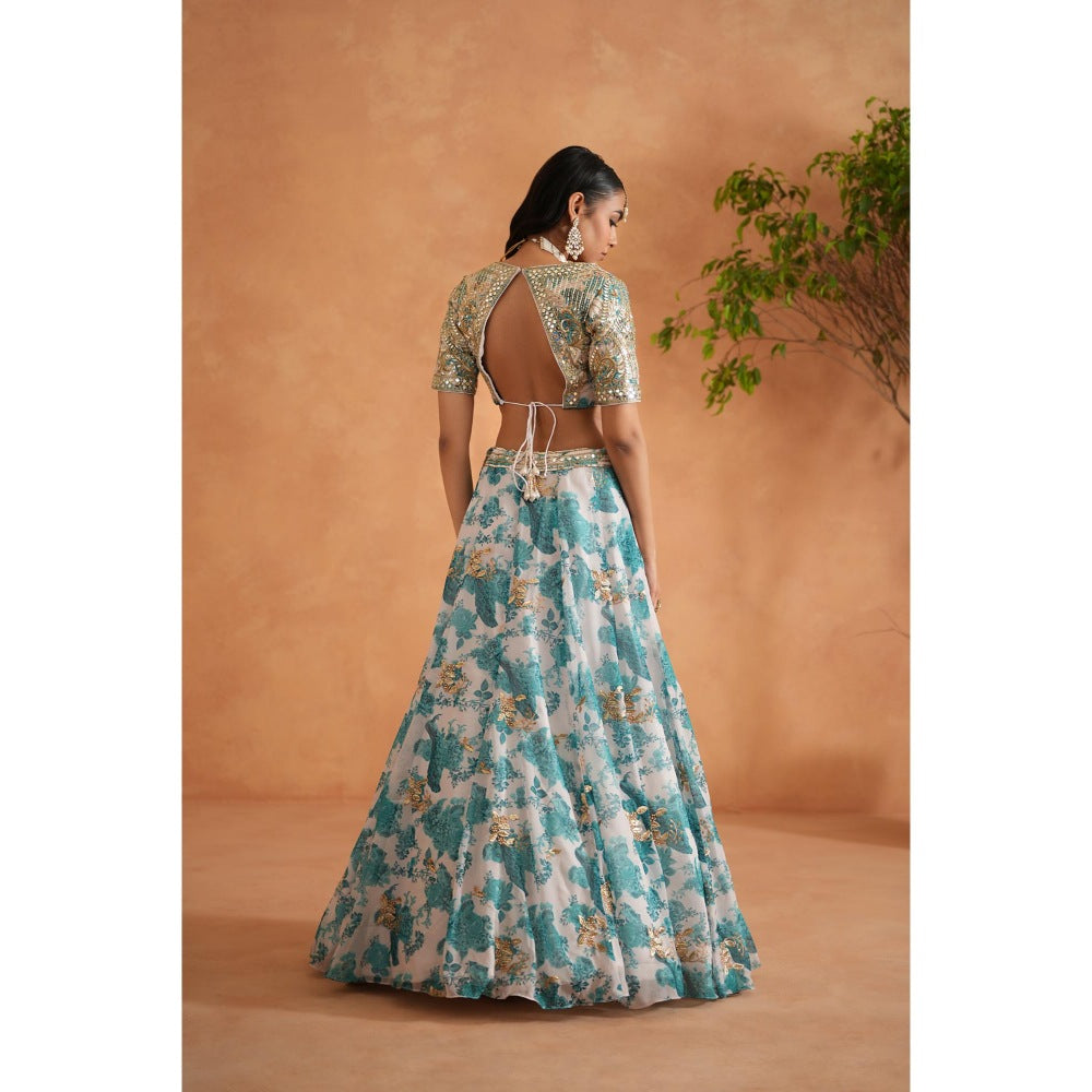 Deepika Chadha Green Mirror Embroidery Blouse, Printed Lehenga, Dupatta (Set of 3)