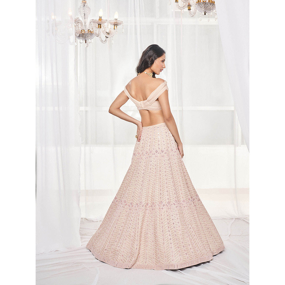 DISHA MUCHHALA Dusty Beige Bridal Lehenga with Blouse and Dupatta (Set of 3)