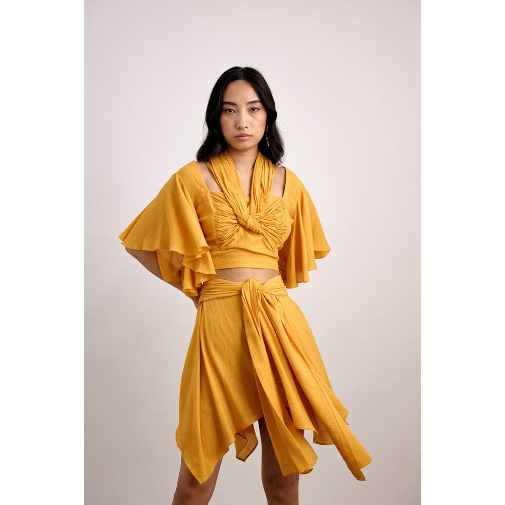 EchoStudio Knotted Resort Crop Top with Skirt (Set of 2)