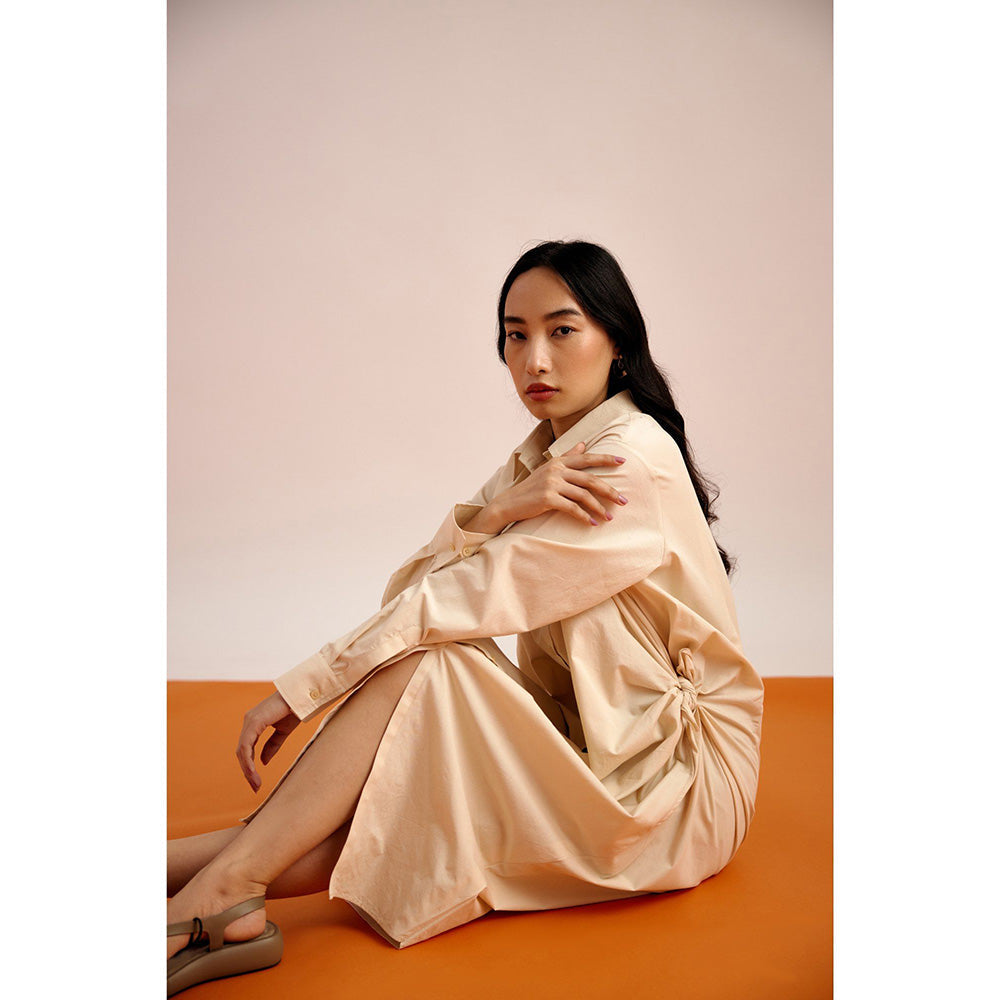 EchoStudio Joe Shirt Dress