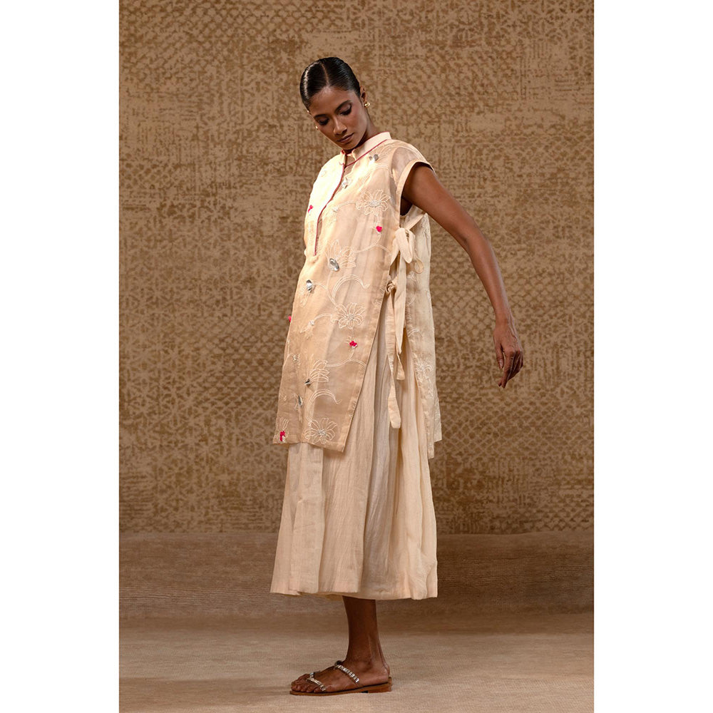 EEDA Taral Off White A Line Organza Applique Dress with Overlay