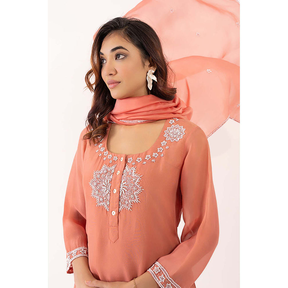 EESHA GUPTA Peach Crystal Kurta with Pant & Dupatta (Set of 3)