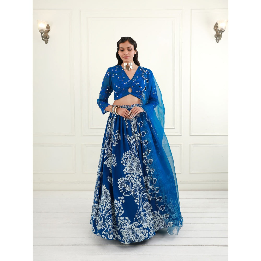 EK Soot Electric Blue Organza Blouse with Skirt and Dupatta (Set of 3)