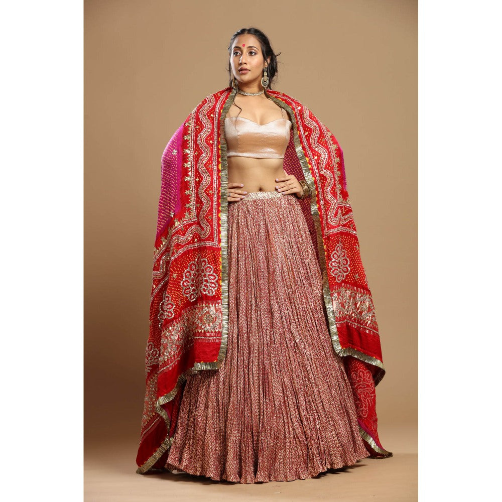 Etasha by Asha Jain Pink Bandani Dupatta with Textured Lehenga and Blouse (Set of 3)