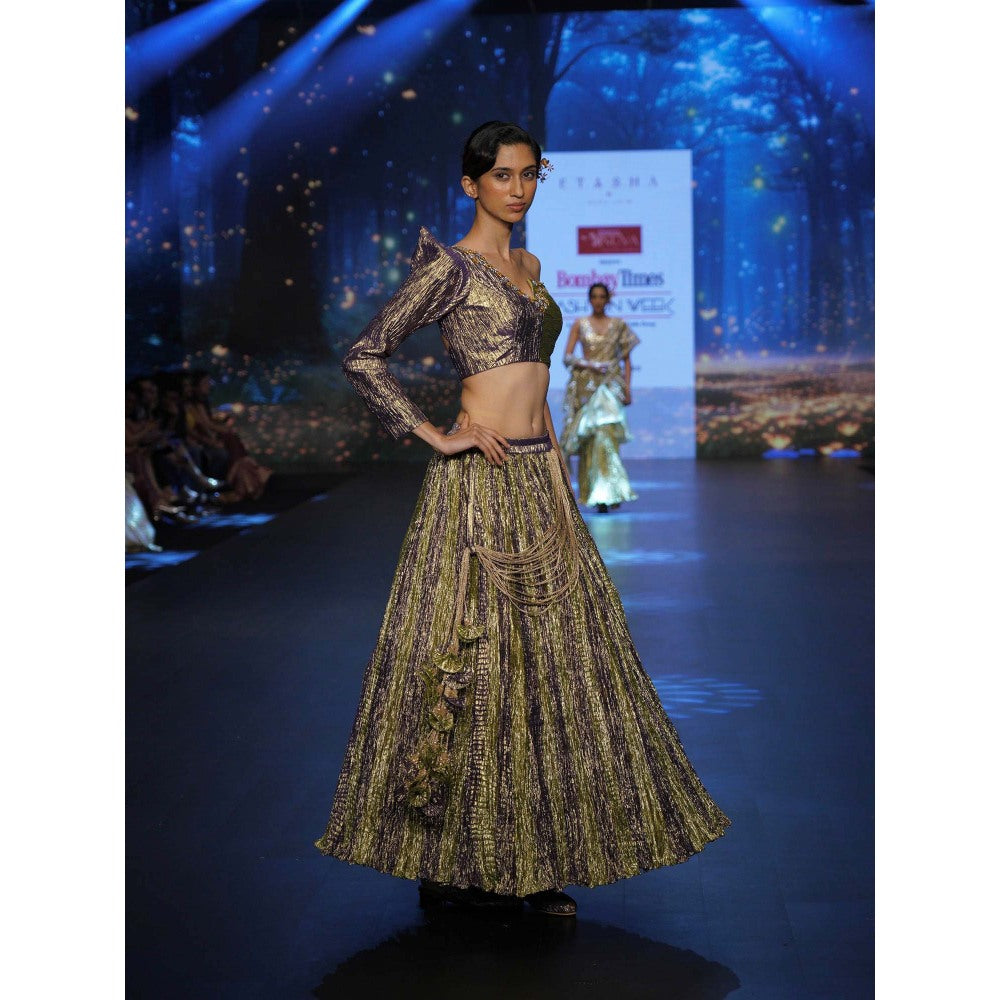 Etasha by Asha Jain Multi-Colour Metallic Tissue Top with Skirt (Set of 2)