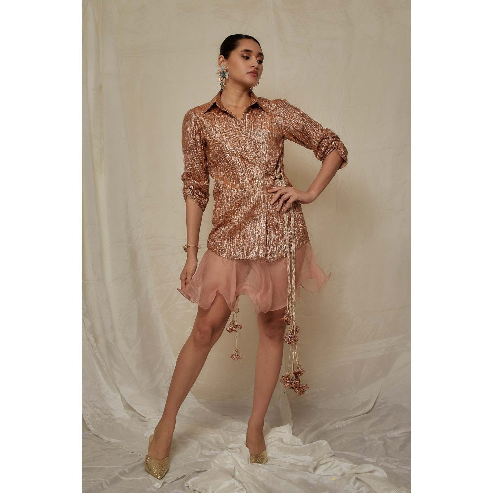 Etasha by Asha Jain Beige Metallic Mini Dress