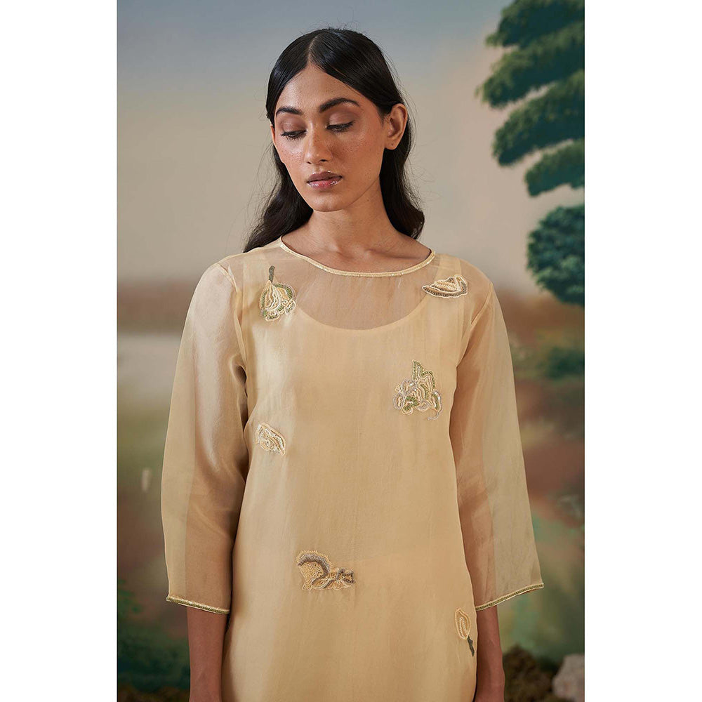 FEBo6 Primrose Yellow Kurta with Slip (Set of 2)