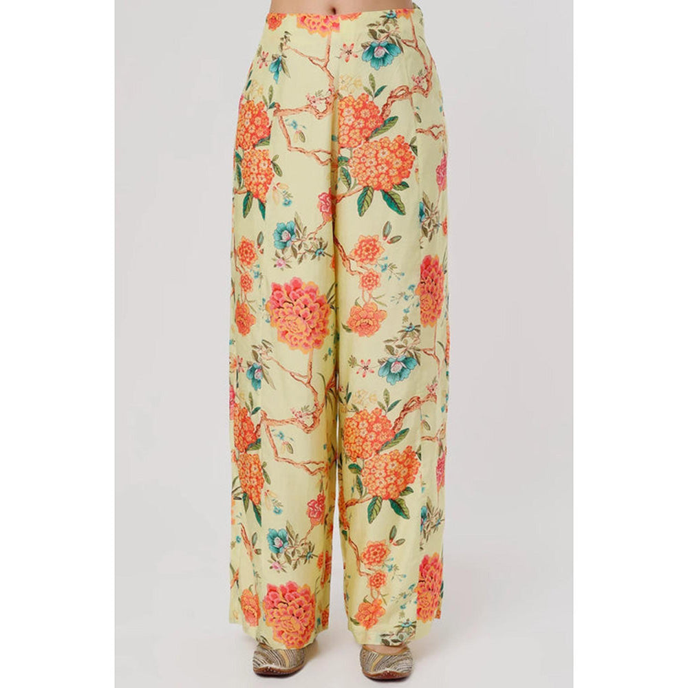 Gopi Vaid Kamli Panel pant cape set