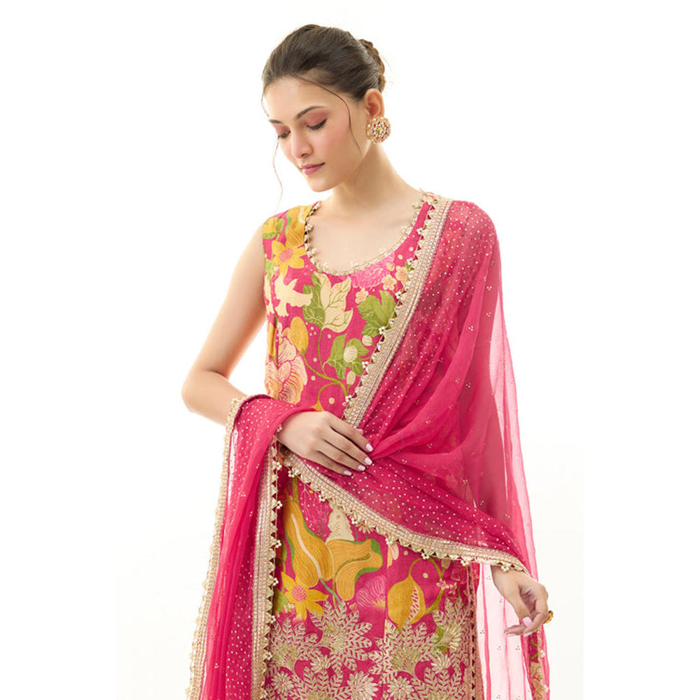 Gopi Vaid Kalki Sleeveless Sharara Set