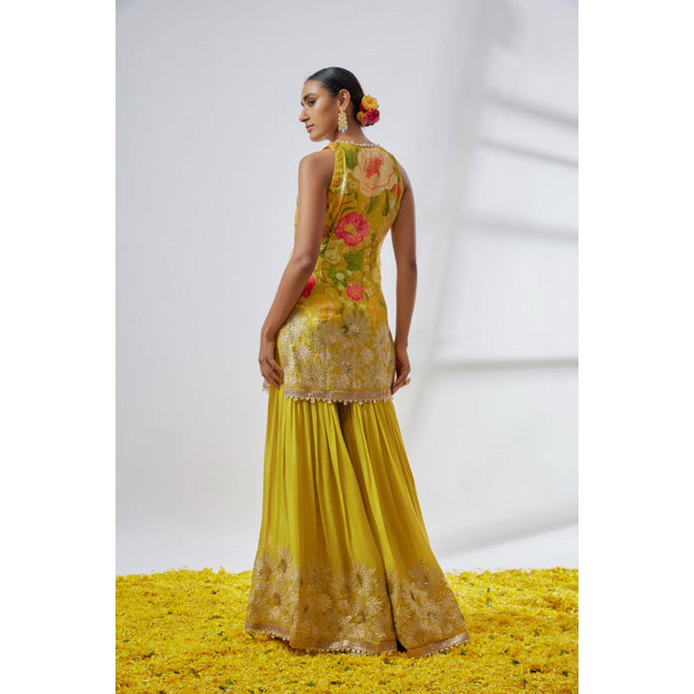 Gopi Vaid Kalki Sleeveless Sharara Set