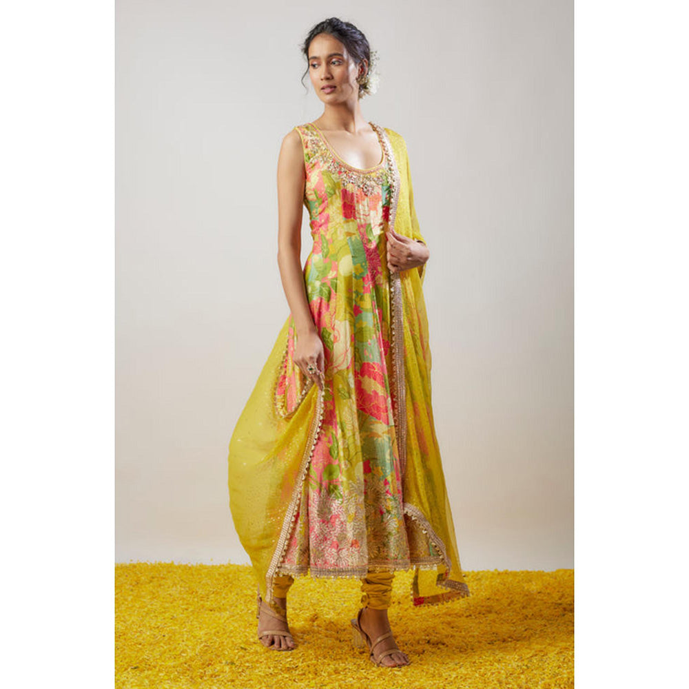 Gopi Vaid Krisha Anarkali Set