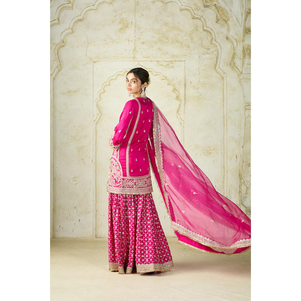Gopi Vaid Mumtaz Sharara Set