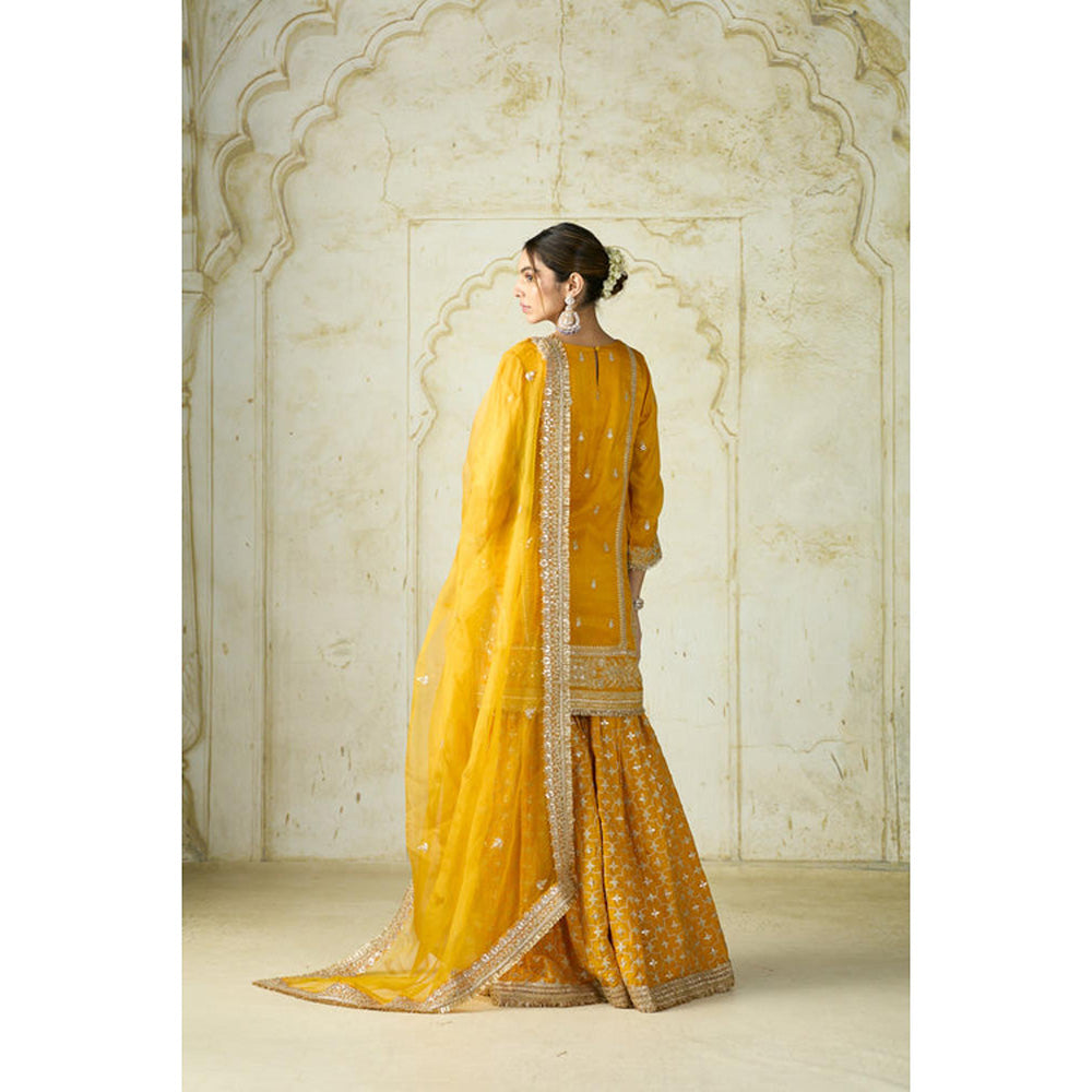 Gopi Vaid Mumtaz Sharara Set