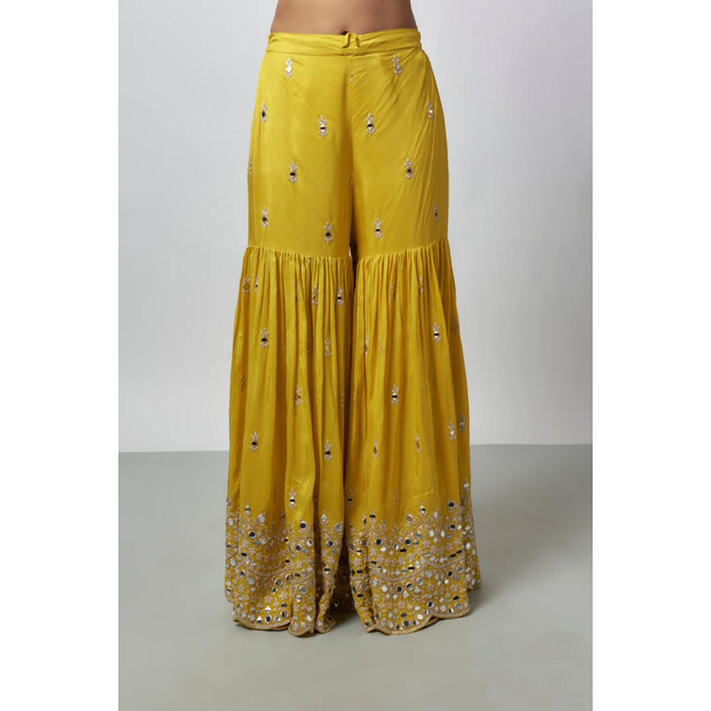 Gopi Vaid Akasa Sharara Set