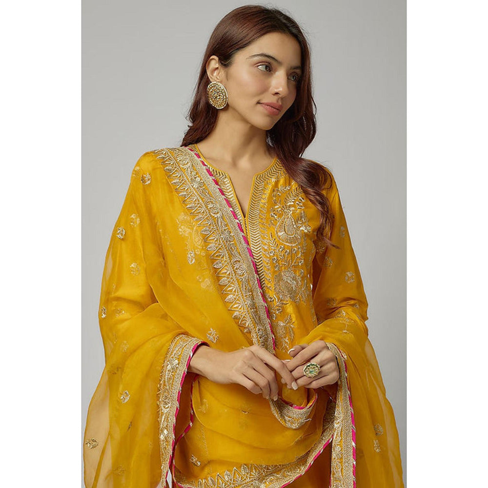 Gopi Vaid Amaya Palazzo Set