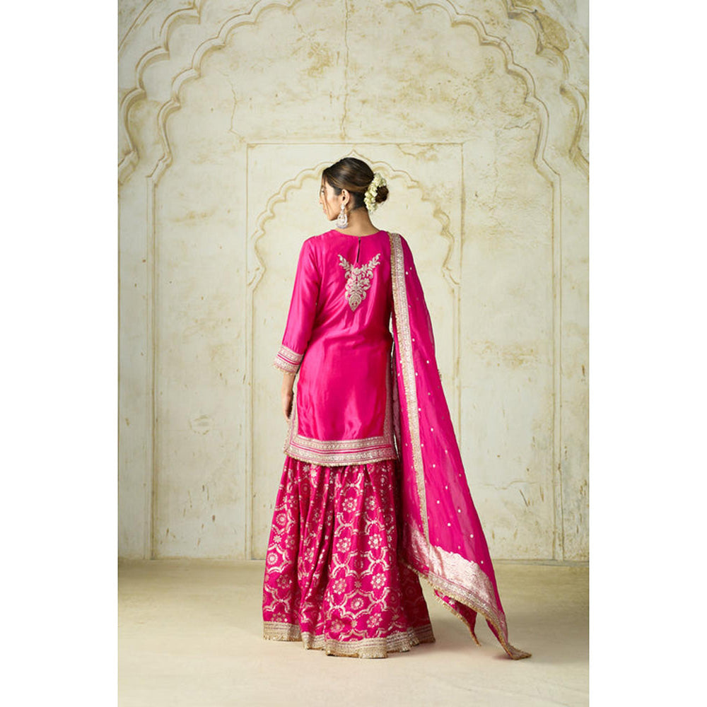 Gopi Vaid Ameena Sharara Set