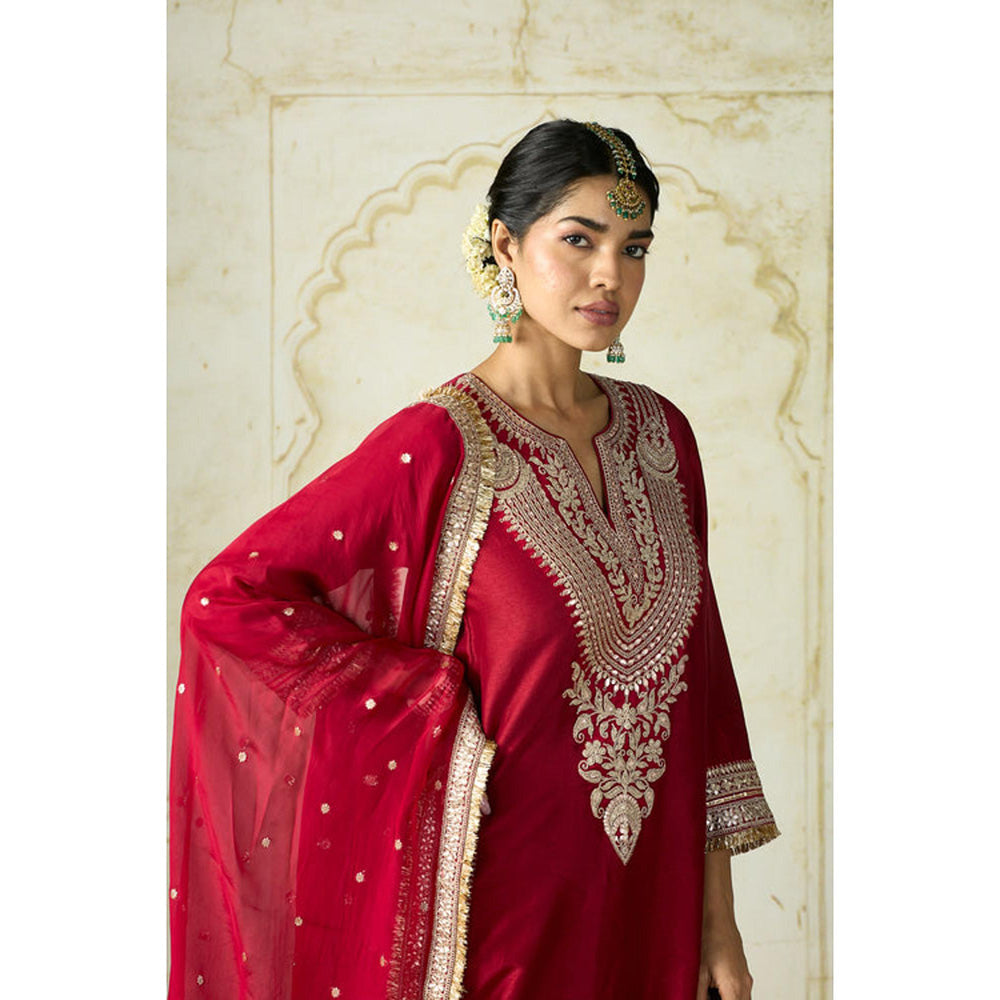 Gopi Vaid Ameena Sharara Set