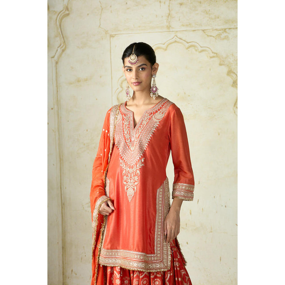 Gopi Vaid Ameena Sharara Set