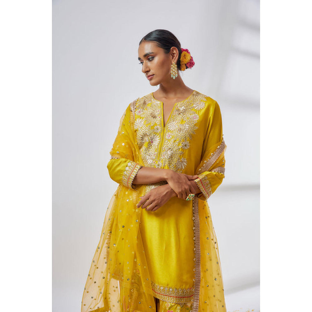 Gopi Vaid Anjali Sharara Set