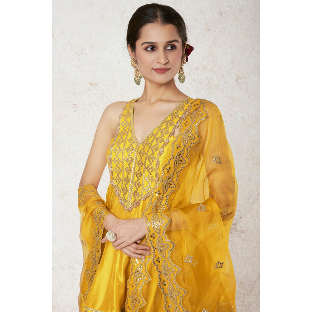 Gopi Vaid Nabha Sharara Set
