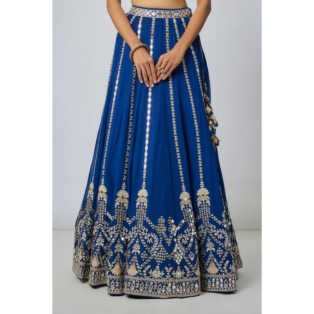 Gopi Vaid Ananya Lehenga with Blouse and Cape