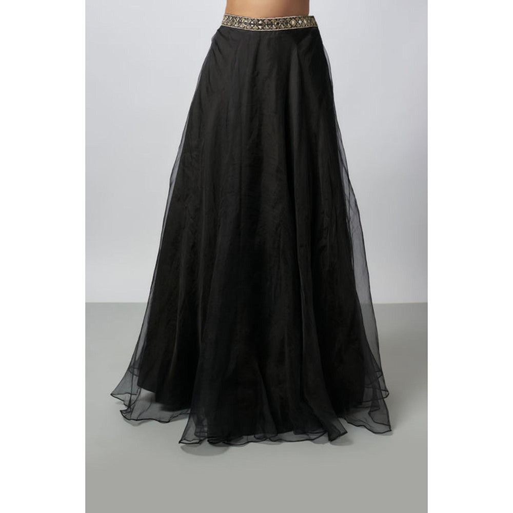 Gopi Vaid Aashreen Lehenga with Blouse and Dupatta