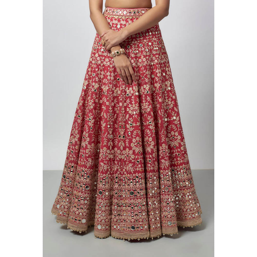 Gopi Vaid Laanya Lehenga with Blouse and Dupatta