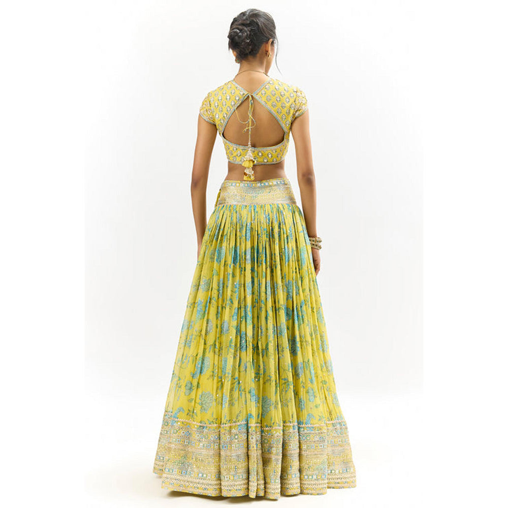 Gopi Vaid Zil Lehenga with Blouse and Dupatta