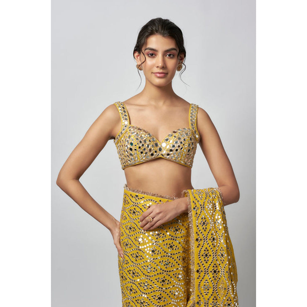 Gopi Vaid Nandana Saree with Stitched Blouse