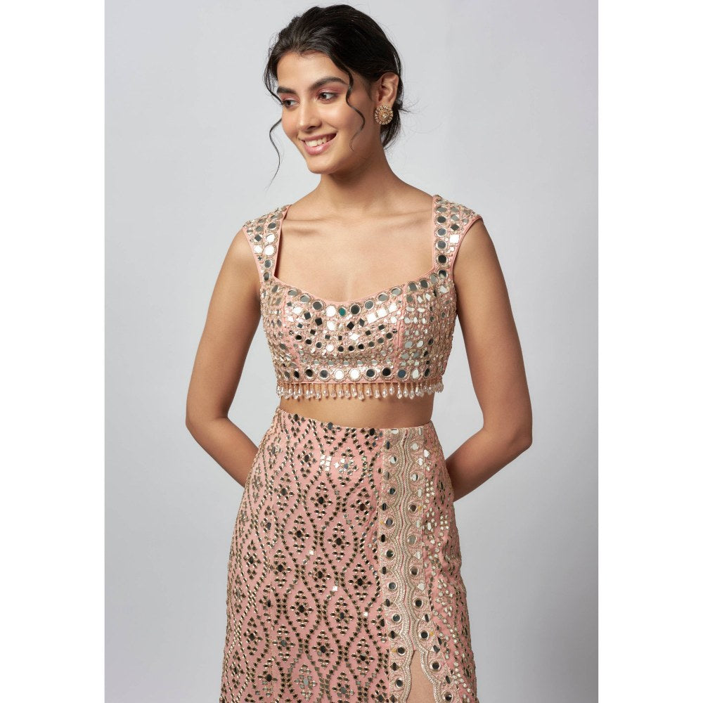 Gopi Vaid Madhulika Pink Blouse with Skirt