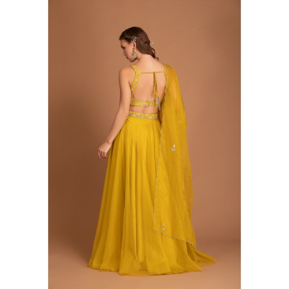 House of Tushaom Yellow Lehenga with Blouse and Dupatta (Set of 3)
