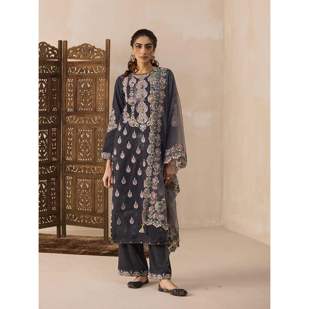 Inej Grey Straight Kurta with Pant (Set of 2)
