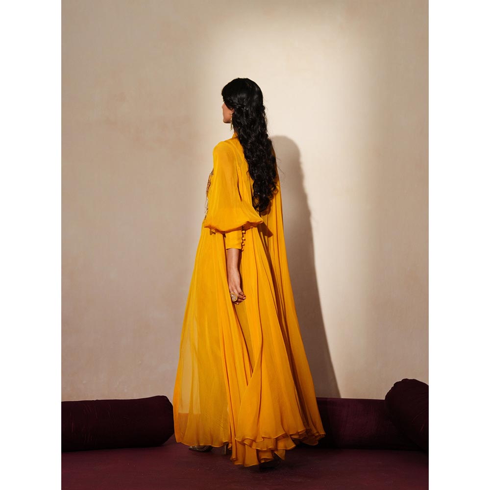 ISHA GUPTA TAYAL Gold Roshni Cape and Pant with Bustier Set