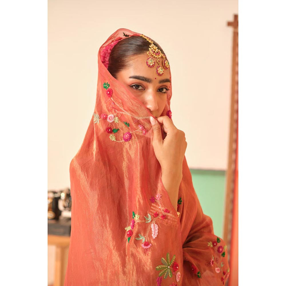 KAVANA Women Brown Anandi Silk Tissue Saree