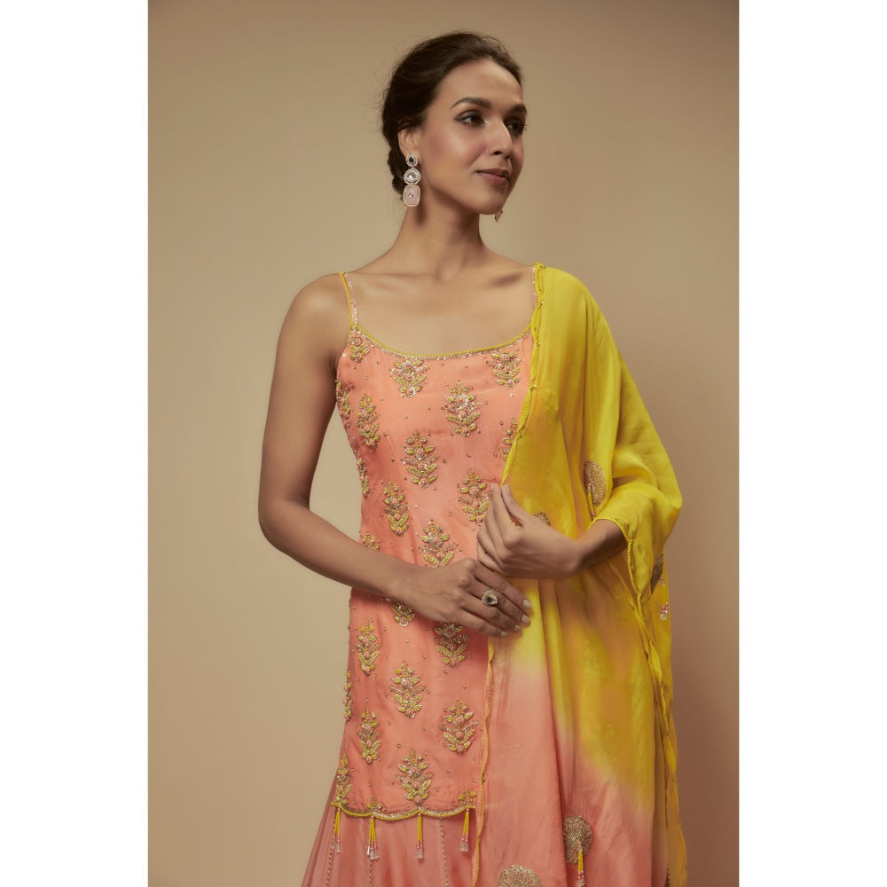 KEITH GOMES Peach Silk Organza Sharara With Kurti And Dupatta (Set of 3)
